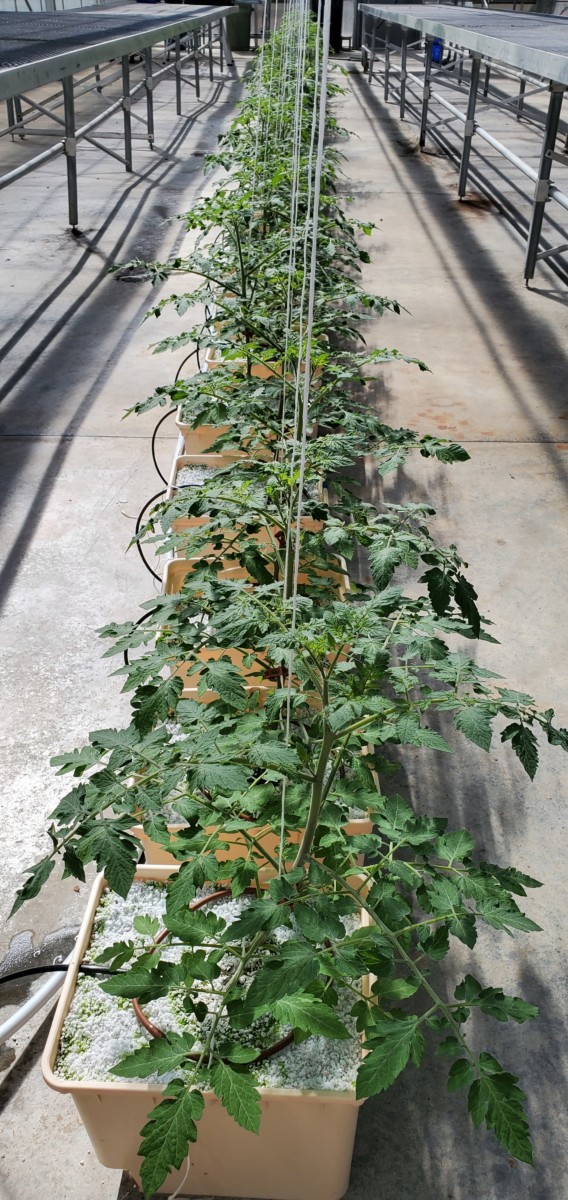 Facilities Ferrarezi Lab