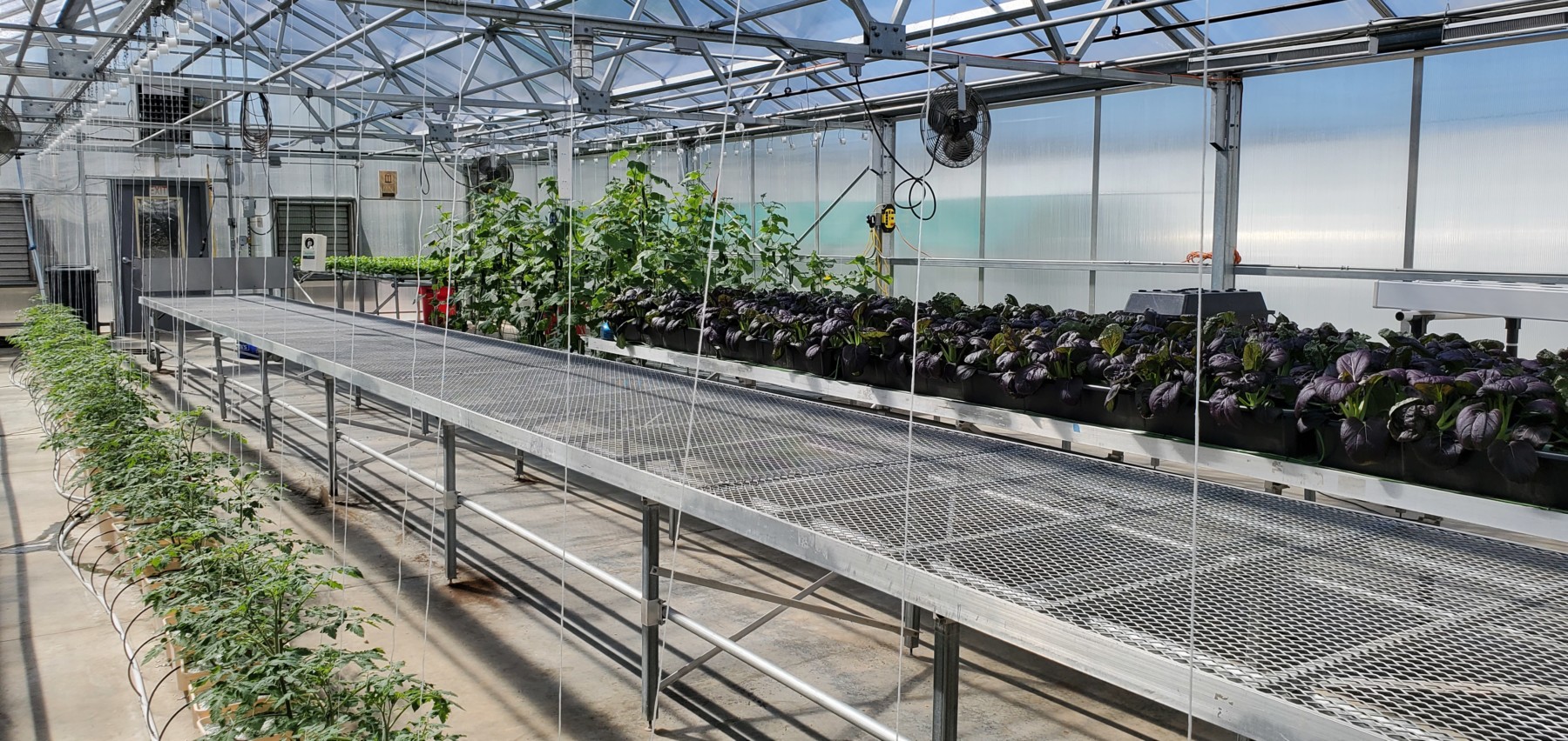 Facilities Ferrarezi Lab