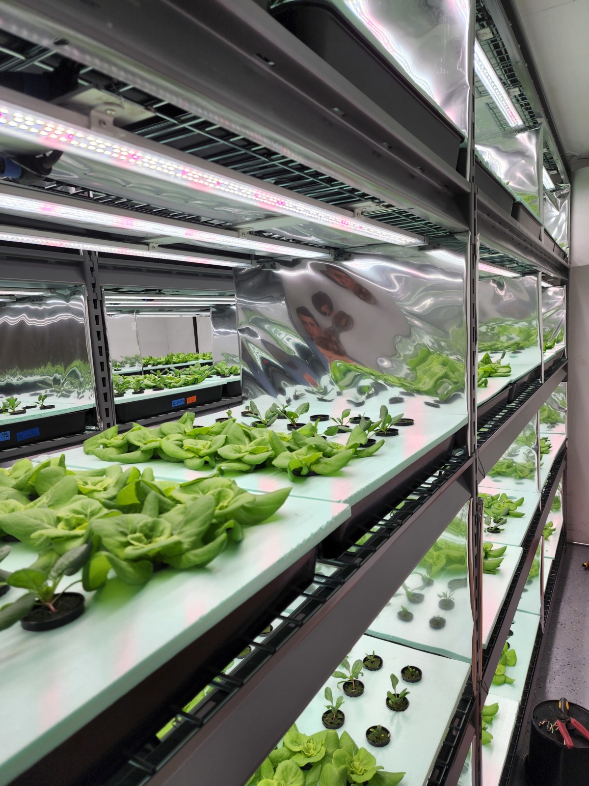 Facilities Ferrarezi Lab