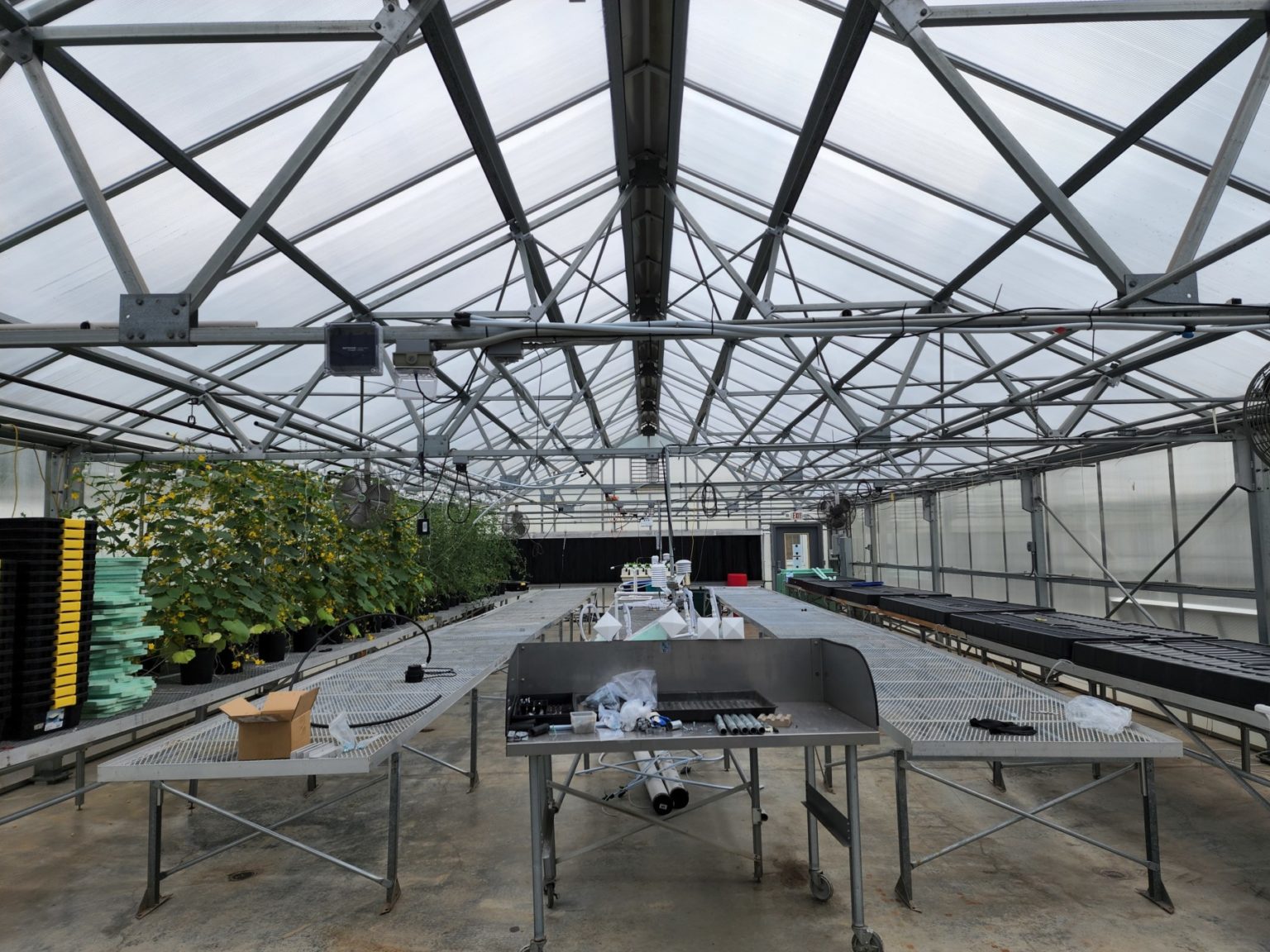 Facilities Ferrarezi Lab